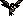 Crow Crow